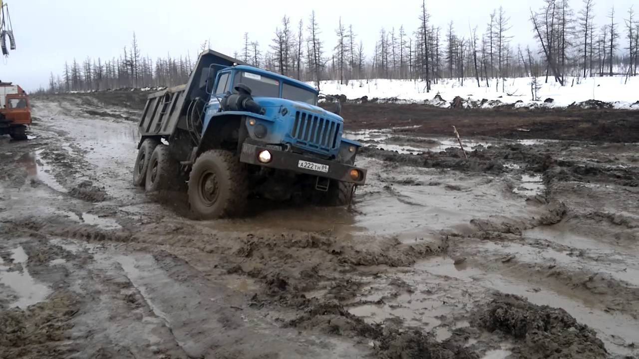 Тюменская область