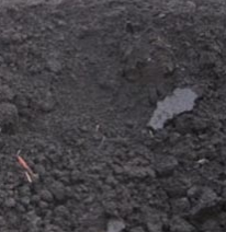 Погостец-Климово