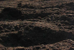 Гора Чащевитая