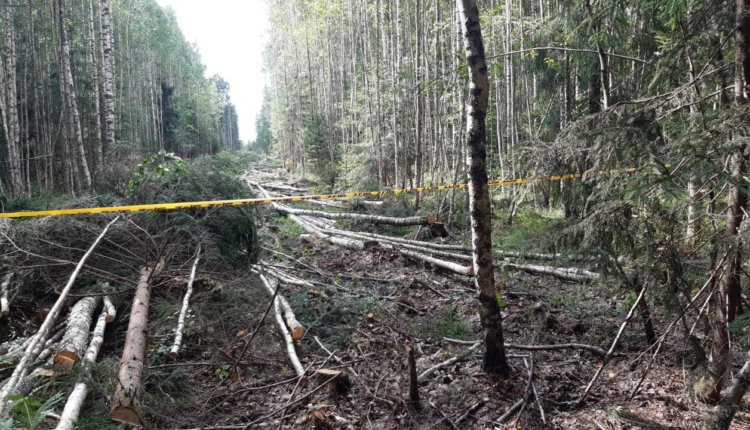 Не надо тут ездить