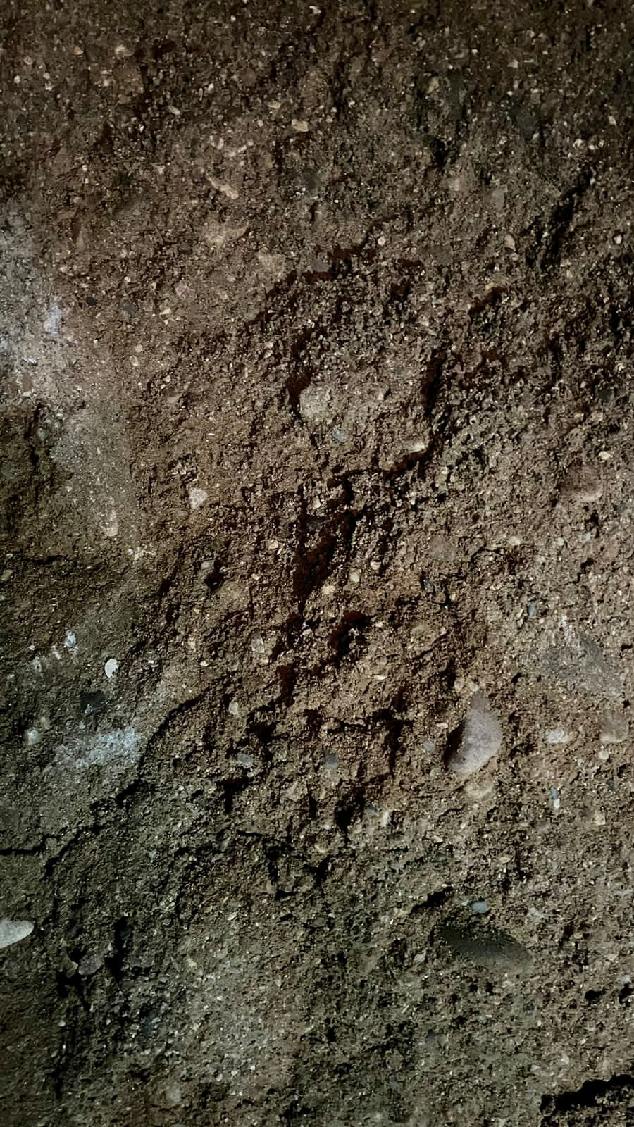 Магистральный