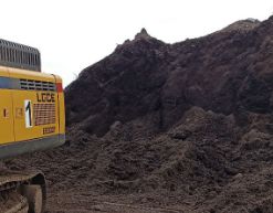 Сестринский-2