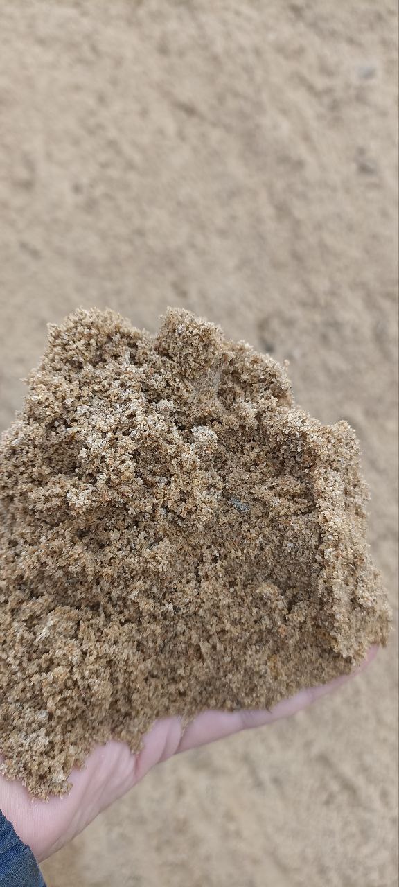 Сестринский-2