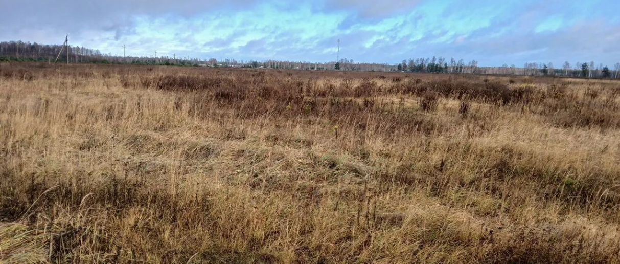 Песчаный карьер