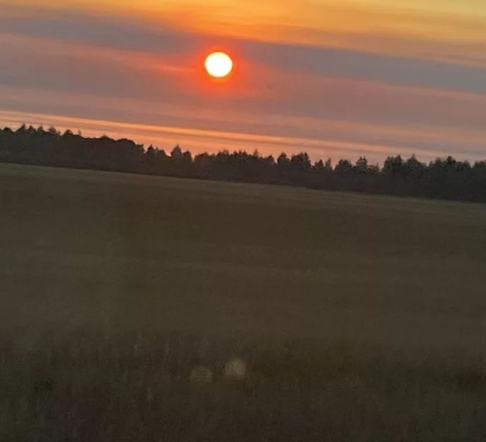 Глиняный карьер 9,8га (промназначения)