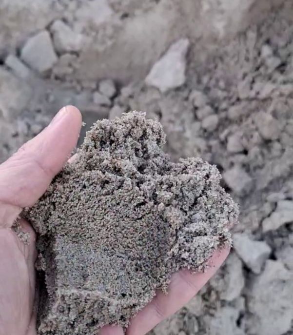 Сестринский-2