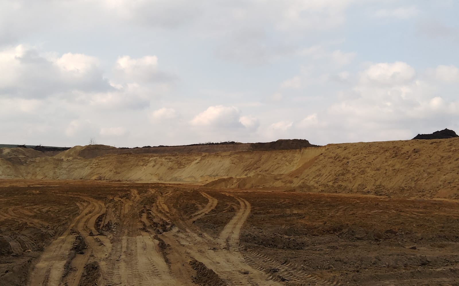 Белоплесовский