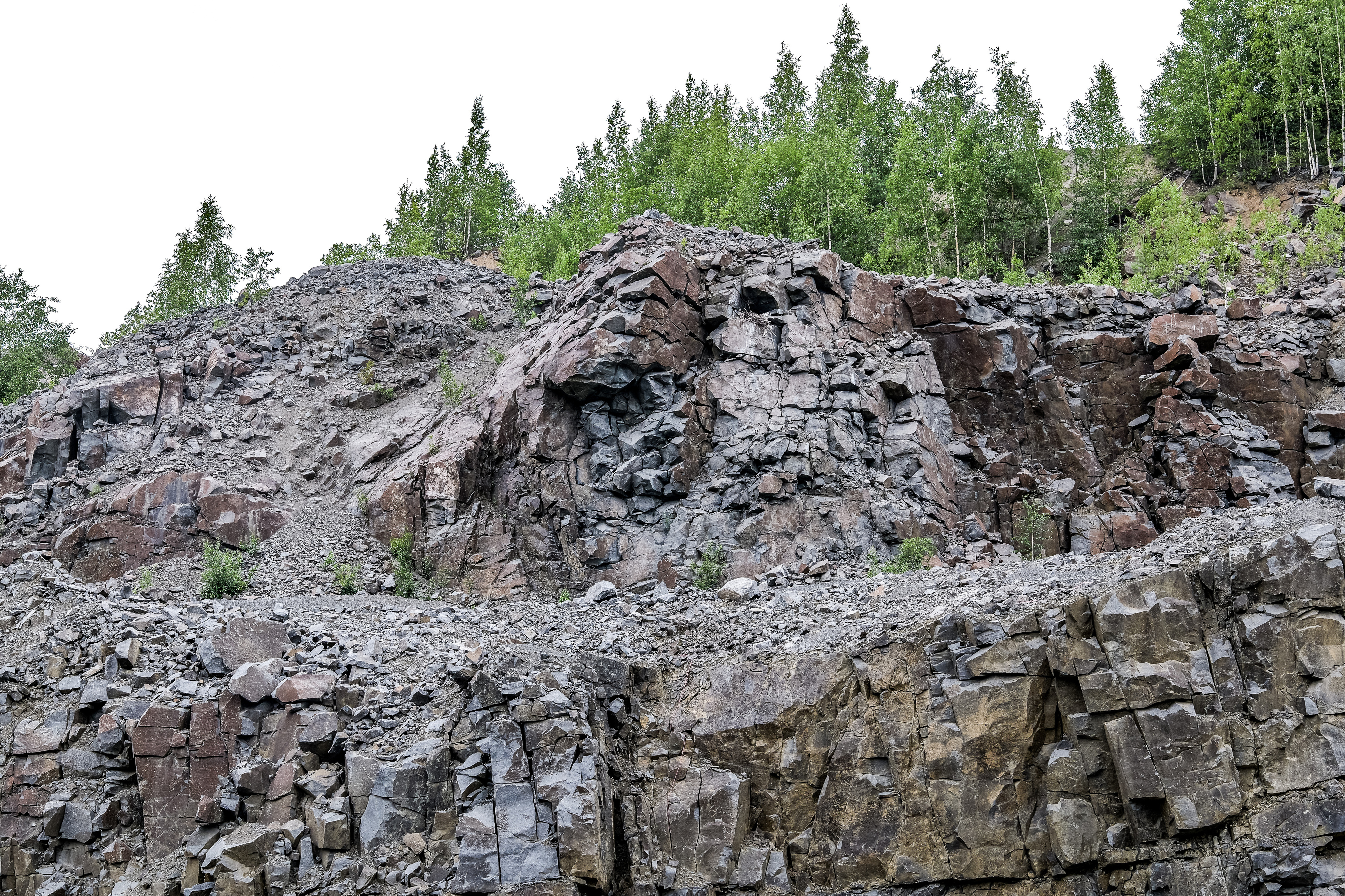 Голодай Гора