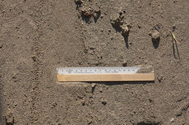 Архиповский