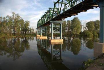 Люди решают, а мост страдает 