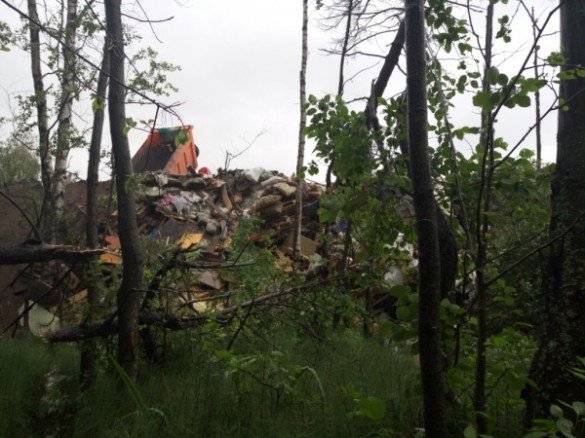 Проверка уехала, а свалка осталась. 