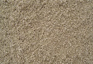 Конь-Колодезь