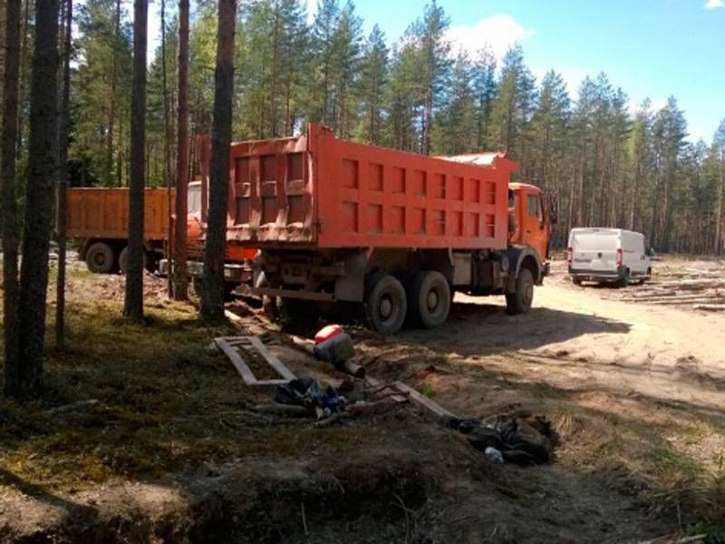 Апраксин бор карьер Ленинградская область