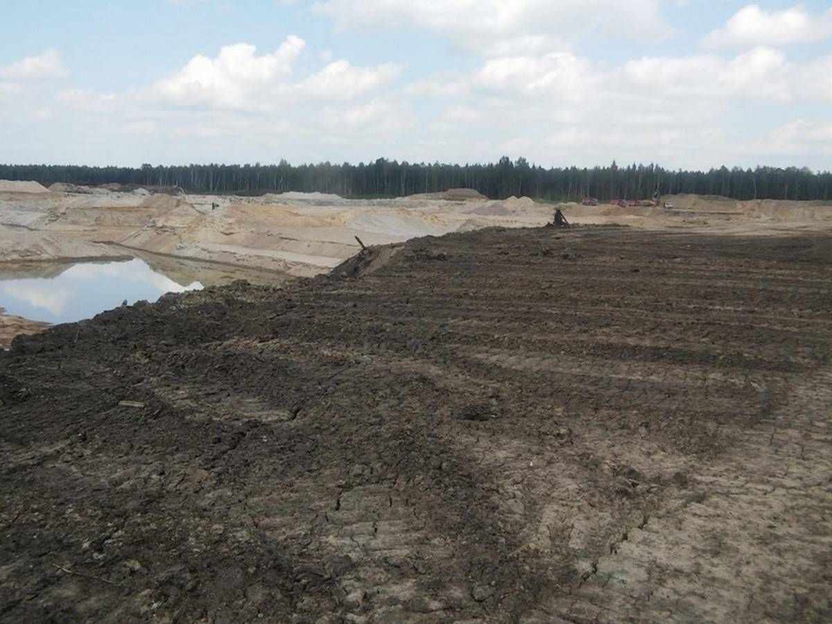 Коркино карьер в Тосненском районе