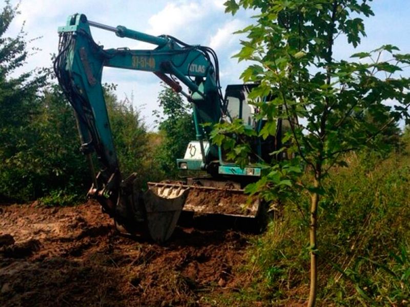 Мужчина хитрец