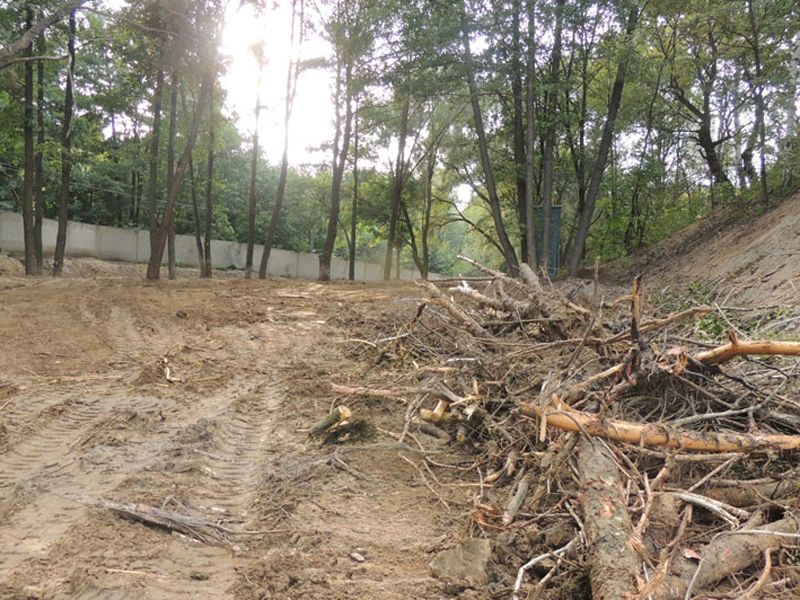 Незаконно построили дорогу