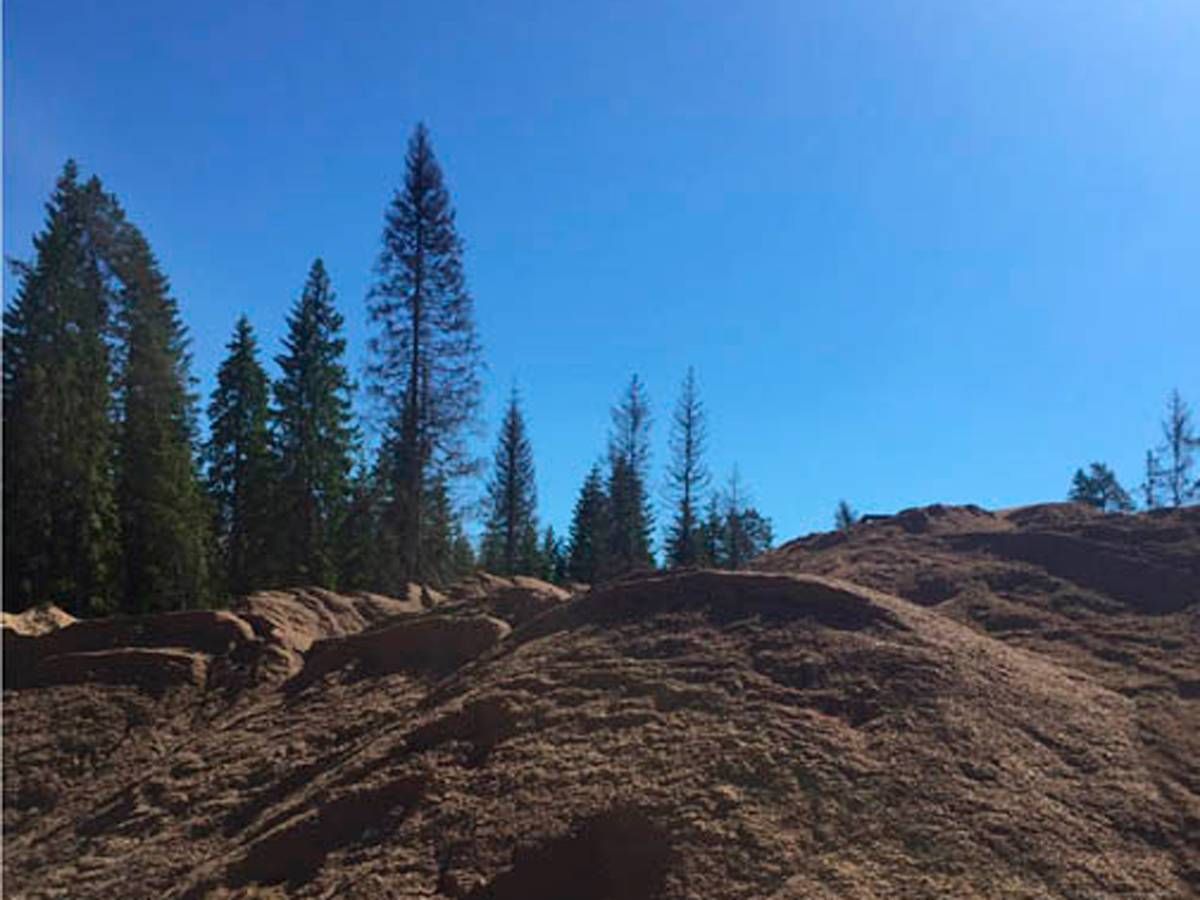 карьер Вольное Ленинградская область