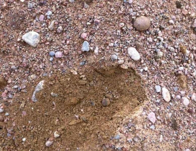 ПГС на карьере Черничная гора