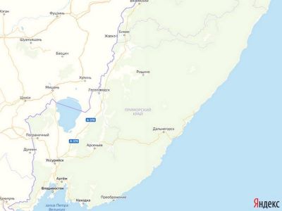 Весовой контроль в Приморье