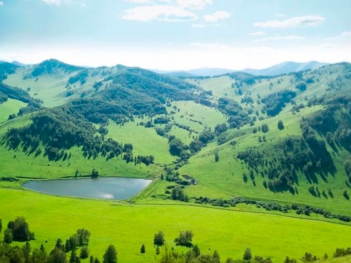 Нет даже передвижных весовых и  транспортников. Только вечная красота