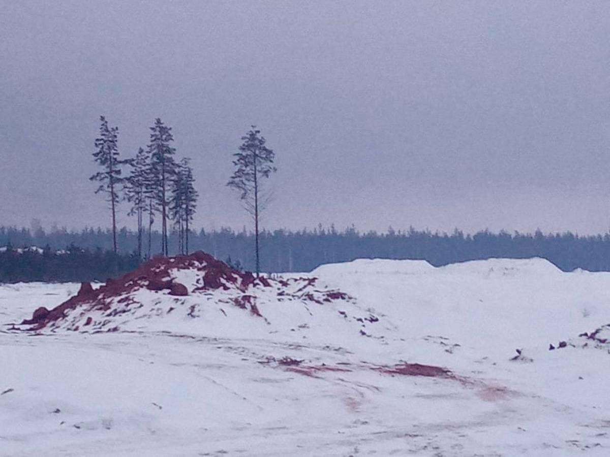 карьер Старый Ленинградская область