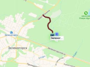 схема  проезда к снегоплавильному  пункту в Зеленогорске
